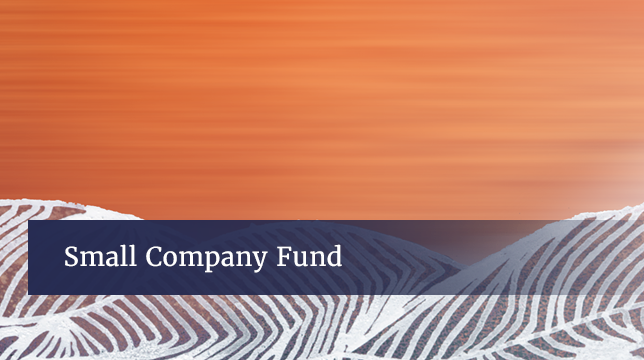 Small Company Fund, Investor Class Receives 2016 Thomson Reuters Lipper Fund Award