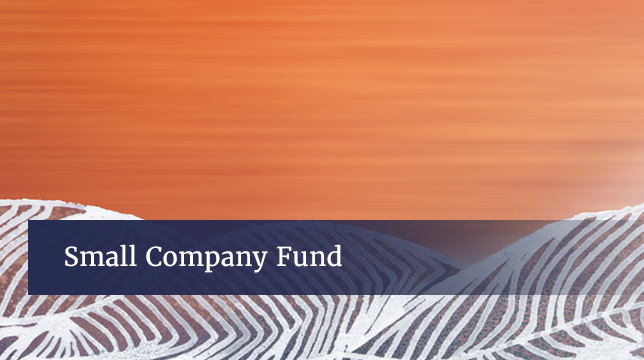 Small Company Fund Reopens